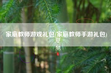 家庭教师游戏礼包(家庭教师手游礼包)
