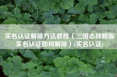 实名认证解除方法教程（三国志战略版实名认证如何解除）(实名认证)