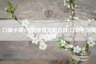 口袋小屋2宠物推荐宠物选择(口袋学院物语2小屋)
