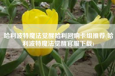 哈利波特魔法觉醒哈利回响卡组推荐(哈利波特魔法觉醒官服下载)