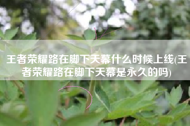 王者荣耀路在脚下天幕什么时候上线(王者荣耀路在脚下天幕是永久的吗)