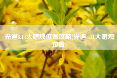 光遇8.11大蜡烛位置攻略(光遇8.11大蜡烛位置)