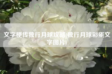 文字梗传独行月球攻略(独行月球彩蛋文字图片)