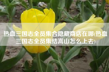 热血三国志全员集合隐藏商店在哪(热血三国志全员集结嵩山怎么上去)