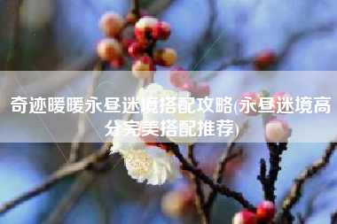 奇迹暖暖永昼迷境搭配攻略(永昼迷境高分完美搭配推荐)