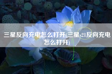 三星反向充电怎么打开(三星s21反向充电怎么打开)