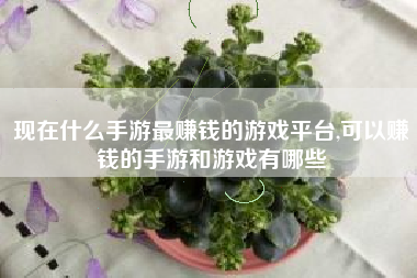 现在什么手游最赚钱的游戏平台,可以赚钱的手游和游戏有哪些