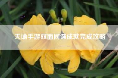 天谕手游双面间谍成就完成攻略