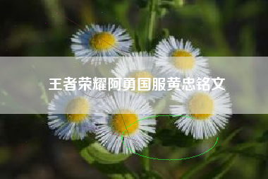王者荣耀阿勇国服黄忠铭文