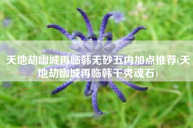 天地劫幽城再临韩无砂五内加点推荐(天地劫幽城再临韩千秀魂石)