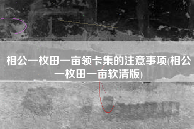 相公一枚田一亩领卡集的注意事项(相公一枚田一亩软清版)