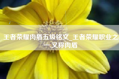 王者荣耀肉盾五级铭文_王者荣耀职业之一,又称肉盾