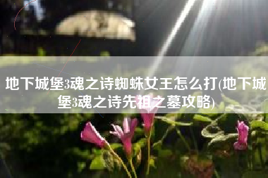 地下城堡3魂之诗蜘蛛女王怎么打(地下城堡3魂之诗先祖之墓攻略)