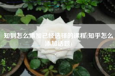 知到怎么添加已经选择的课程(知乎怎么添加话题)