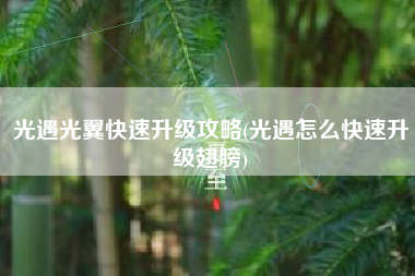 光遇光翼快速升级攻略(光遇怎么快速升级翅膀)