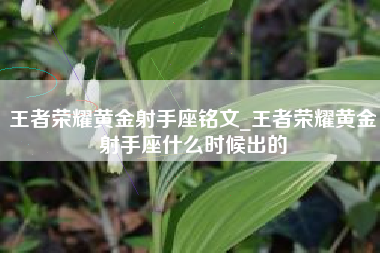 王者荣耀黄金射手座铭文_王者荣耀黄金射手座什么时候出的