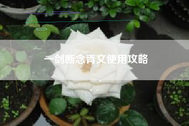 一剑断念胥文使用攻略