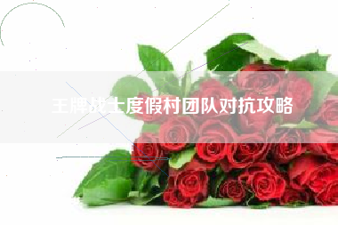 王牌战士度假村团队对抗攻略