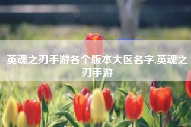 英魂之刃手游各个版本大区名字,英魂之刃手游