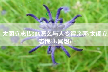太阁立志传5DX怎么与人变得亲密(太阁立志传5dx冥想)