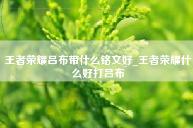 王者荣耀吕布带什么铭文好_王者荣耀什么好打吕布