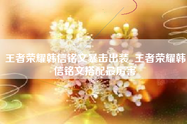 王者荣耀韩信铭文暴击出装_王者荣耀韩信铭文搭配最厉害
