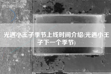 光遇小王子季节上线时间介绍(光遇小王子下一个季节)