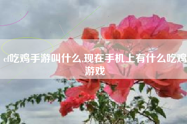cf吃鸡手游叫什么,现在手机上有什么吃鸡游戏