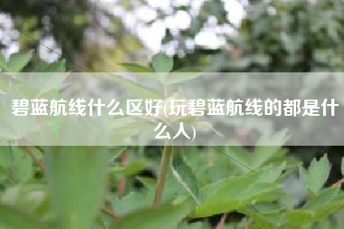 碧蓝航线什么区好(玩碧蓝航线的都是什么人)