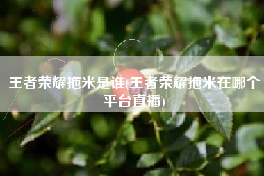 王者荣耀拖米是谁(王者荣耀拖米在哪个平台直播)