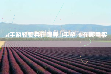 cf手游轻骑兵在哪弄,cf手游cdk在哪里买