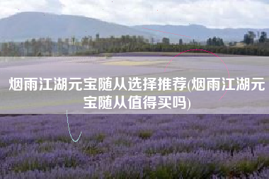 烟雨江湖元宝随从选择推荐(烟雨江湖元宝随从值得买吗)
