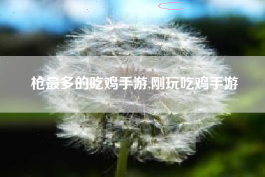 枪最多的吃鸡手游,刚玩吃鸡手游