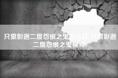 只狼影逝二度怨恨之鬼怎么打(只狼影逝二度怨恨之鬼视频)