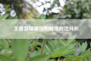 王者荣耀哪吒和庞统对比分析
