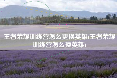 王者荣耀训练营怎么更换英雄(王者荣耀训练营怎么换英雄)