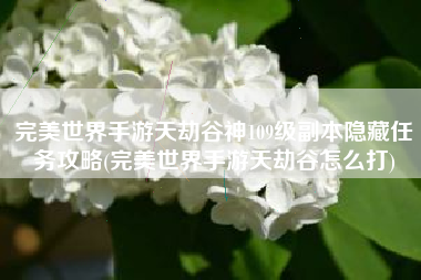 完美世界手游天劫谷神109级副本隐藏任务攻略(完美世界手游天劫谷怎么打)