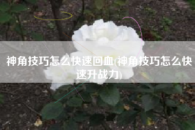 神角技巧怎么快速回血(神角技巧怎么快速升战力)