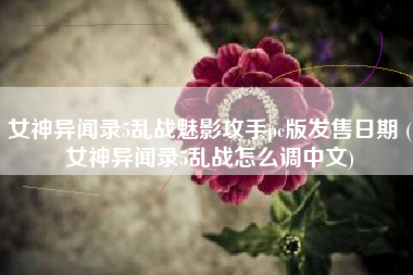 女神异闻录5乱战魅影攻手pc版发售日期 (女神异闻录5乱战怎么调中文)