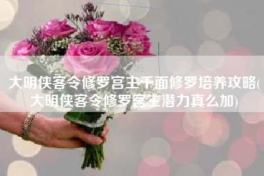 大明侠客令修罗宫主千面修罗培养攻略(大明侠客令修罗宫主潜力真么加)