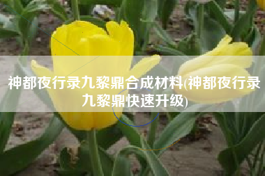 神都夜行录九黎鼎合成材料(神都夜行录九黎鼎快速升级)