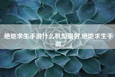 绝地求生手游什么机型最好,绝地求生手游