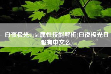 白夜极光Uriel属性技能解析(白夜极光日服有中文么)