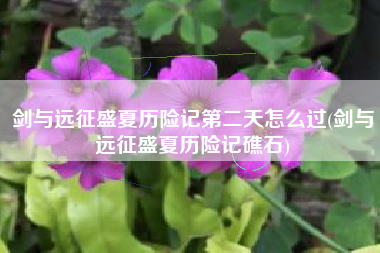 剑与远征盛夏历险记第二天怎么过(剑与远征盛夏历险记礁石)