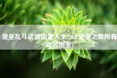 堡垒乱斗武器图鉴大全(2022堡垒之夜所有武器图鉴)