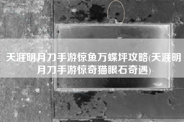 天涯明月刀手游惊鱼万蝶坪攻略(天涯明月刀手游惊奇猫眼石奇遇)