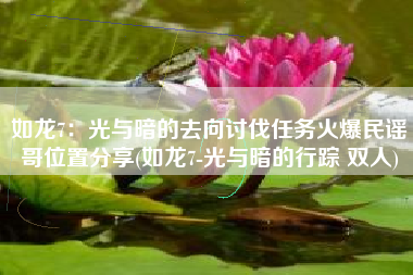 如龙7：光与暗的去向讨伐任务火爆民谣哥位置分享(如龙7-光与暗的行踪 双人)