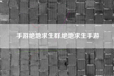 手游绝地求生群,绝地求生手游