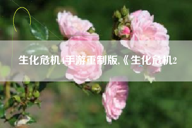 生化危机4手游重制版,《生化危机2