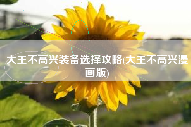大王不高兴装备选择攻略(大王不高兴漫画版)